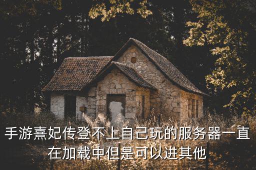 延禧攻略手游登录不了怎么回事，手游熹妃传登不上自己玩的服务器一直在加载中但是可以进其他