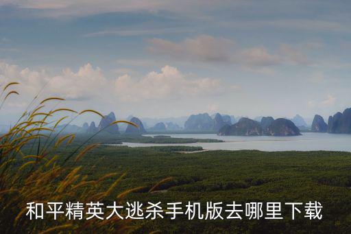 和平精英大逃杀手机版去哪里下载