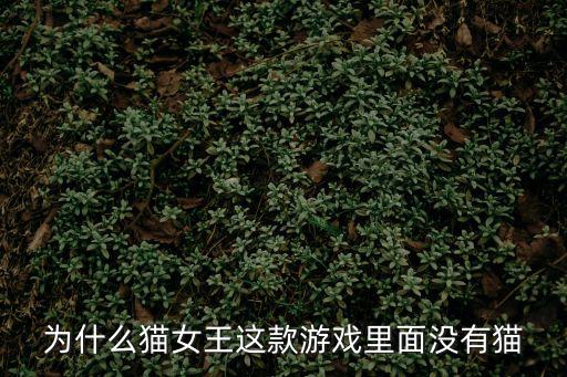 联盟手游怎么没有猫咪，最终嫌疑游戏里的那个信箱里的猫怎么没有
