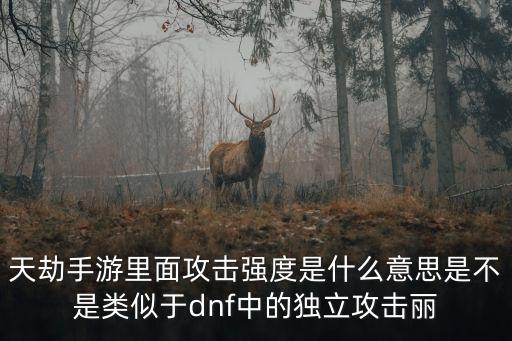 天劫手游里面攻击强度是什么意思是不是类似于dnf中的独立攻击丽