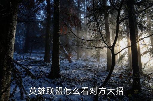 联盟手游中怎么看队友大招，英雄联盟怎么知道队友有没有大技