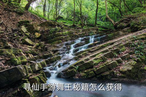 寻仙手游秘籍怎么解锁，寻仙门派的秘笈怎么搞的
