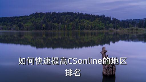 如何快速提高CSonline的地区排名