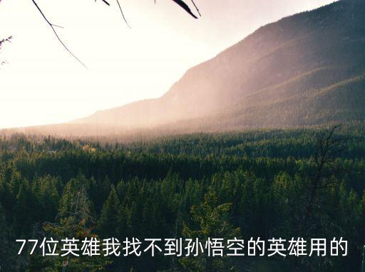 77位英雄我找不到孙悟空的英雄用的