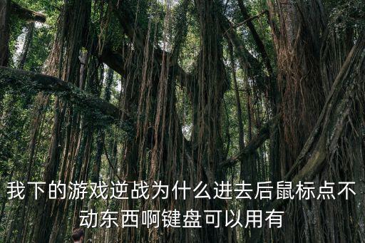 我下的游戏逆战为什么进去后鼠标点不动东西啊键盘可以用有