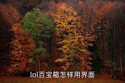 lol百宝箱怎样用界面