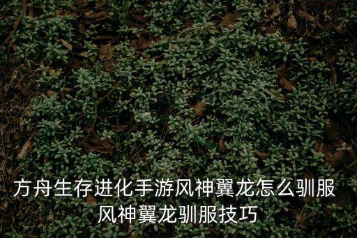 方舟生存进化手游风神翼龙怎么驯服 风神翼龙驯服技巧