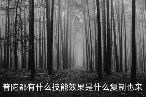 问道手游普陀山技能怎么用，普陀山什么技能不用点10分