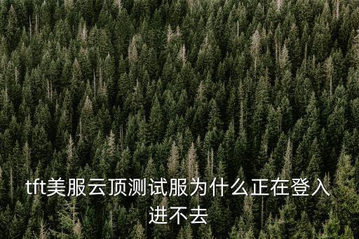 tft美服云顶测试服为什么正在登入进不去