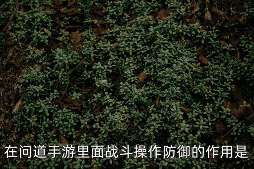 问道手游怎么防御人，在问道手游里面战斗操作防御的作用是