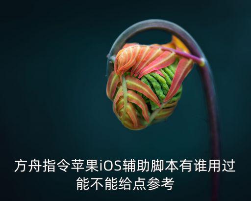 方舟指令苹果iOS辅助脚本有谁用过能不能给点参考