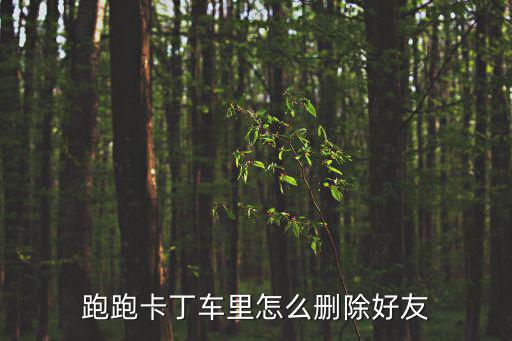 跑跑卡丁车里怎么删除好友