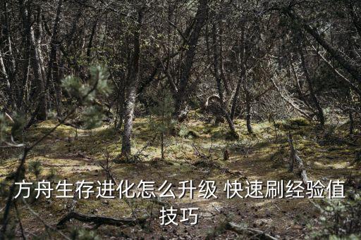 方舟生存进化怎么升级 快速刷经验值技巧