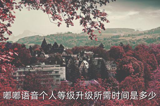 嘟嘟语音个人等级升级所需时间是多少