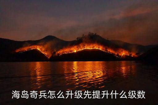 海岛奇兵手游武器怎么升级，海岛奇兵怎么升级先提升什么级数