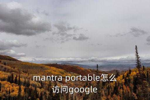 mantra portable怎么访问google
