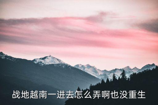 战地越南一进去怎么弄啊也没重生