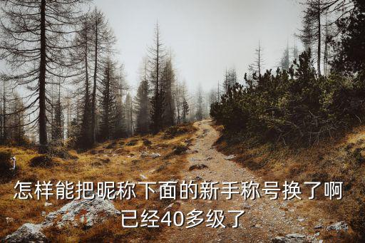 幻塔手游怎么换称号，怎样能把昵称下面的新手称号换了啊 已经40多级了