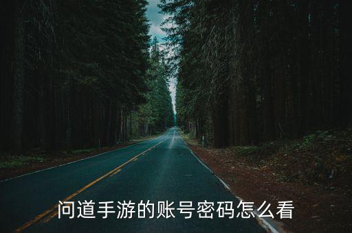 手游登号器密码怎么看，问道手游的账号密码怎么看