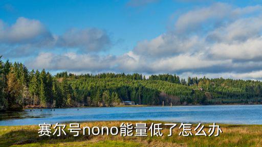 赛尔号nono能量低了怎么办