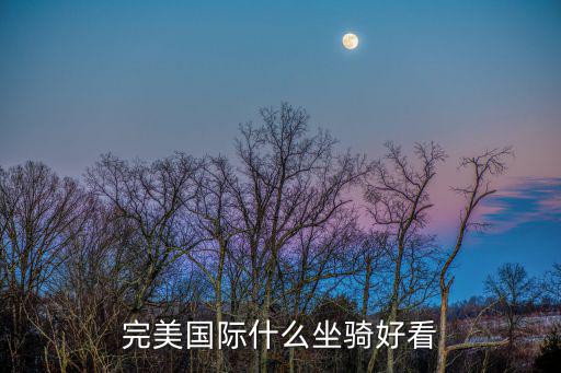 完美国际什么坐骑好看