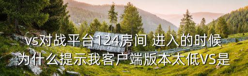 新斗罗大陆手游粉丝对决怎么写，vs对战平台124房间 进入的时候为什么提示我客户端版本太低VS是