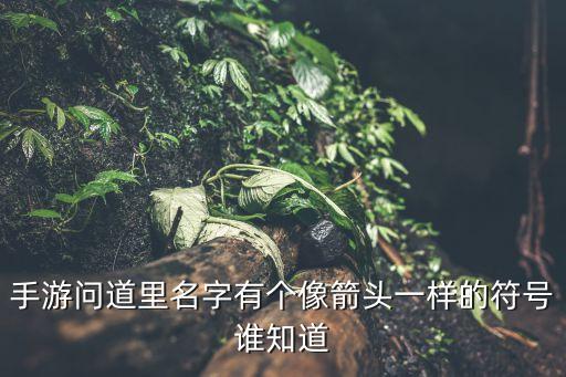 手游问道里名字有个像箭头一样的符号谁知道