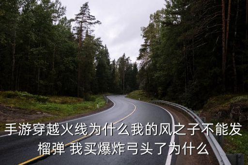 手游穿越火线为什么我的风之子不能发榴弹 我买爆炸弓头了为什么