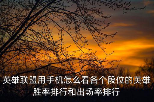 英雄联盟用手机怎么看各个段位的英雄胜率排行和出场率排行