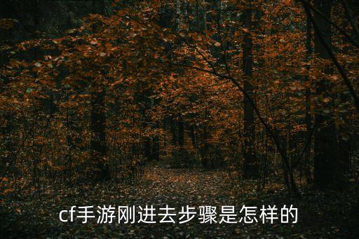 cf手游刚进去步骤是怎样的