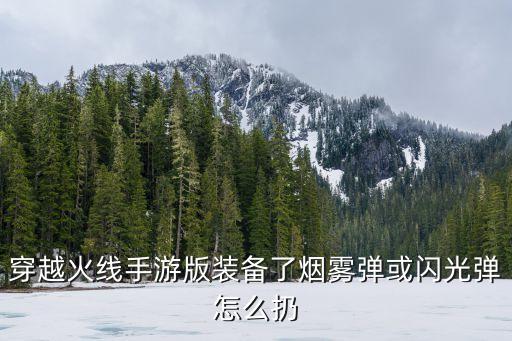 穿越火线手游版装备了烟雾弹或闪光弹怎么扔