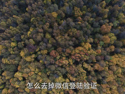 怎么去掉微信登陆验证