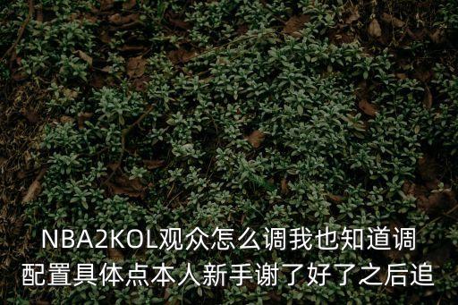 2k20手游版怎么设置观众，NBA2KOL观众怎么调我也知道调配置具体点本人新手谢了好了之后追