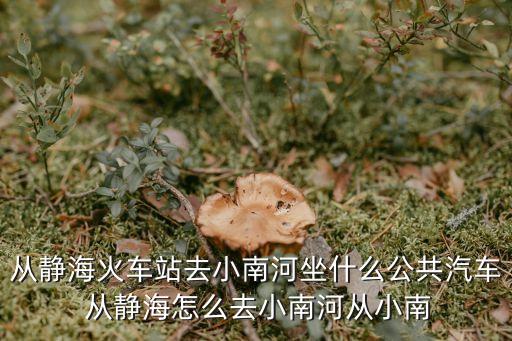 从静海火车站去小南河坐什么公共汽车 从静海怎么去小南河从小南