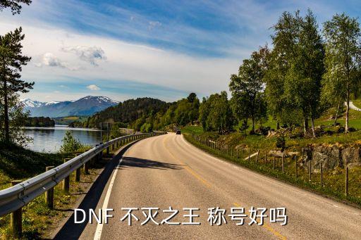 DNF 不灭之王 称号好吗