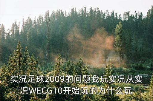 实况足球2009的问题我玩实况从实况WECG10开始玩的为什么玩