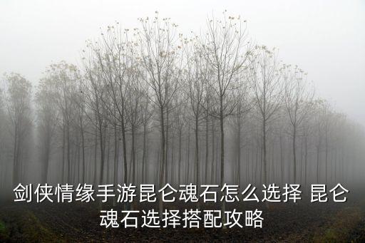 剑侠情缘手游昆仑魂石怎么选择 昆仑魂石选择搭配攻略