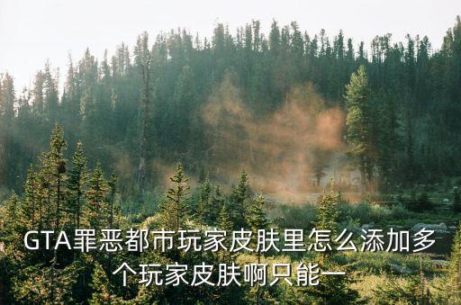 GTA罪恶都市玩家皮肤里怎么添加多个玩家皮肤啊只能一