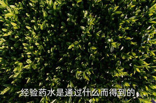 经验药水是通过什么而得到的