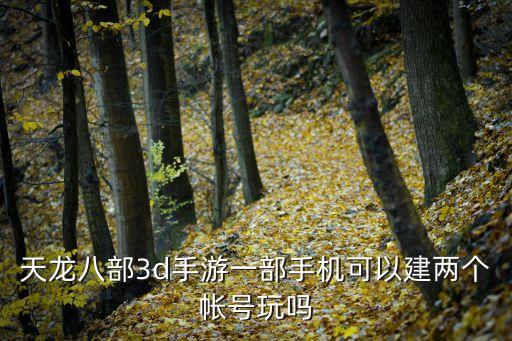 天龙八部手游怎么开分身，天龙八部3d手游一部手机可以建两个帐号玩吗