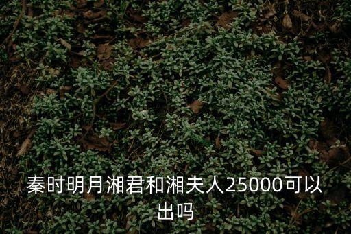 秦时明月湘君和湘夫人25000可以出吗