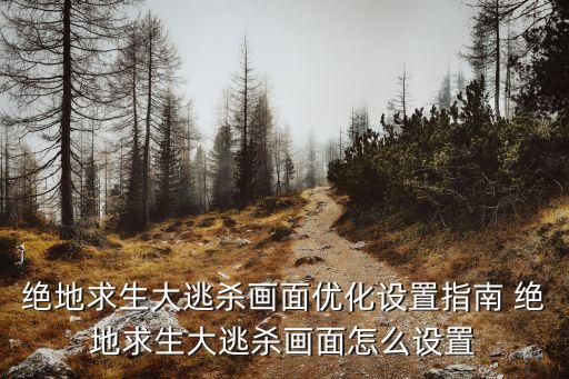 绝地求生大逃杀画面优化设置指南 绝地求生大逃杀画面怎么设置