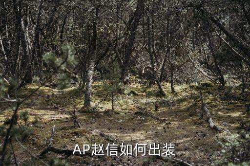 AP赵信如何出装