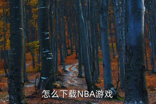 怎么下载NBA游戏