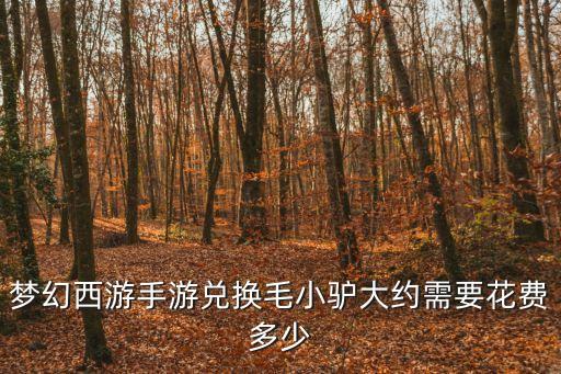 梦幻西游手游兑换毛小驴大约需要花费多少