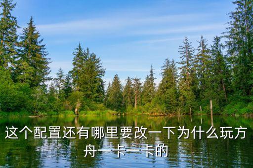 这个配置还有哪里要改一下为什么玩方舟一卡一卡的