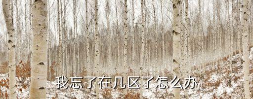 手游忘了哪个区怎么办，CF手游忘记在哪个区怎么办