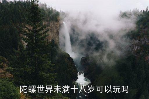 陀螺世界未满十八岁可以玩吗