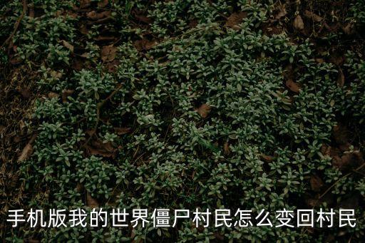 手机版我的世界僵尸村民怎么变回村民