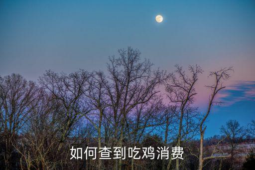 手游吃鸡的消费记录怎么查，现在在哪查消费信息啊我想看看自己玩游戏花了多少钱